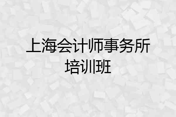 上海会计师事务所培训班