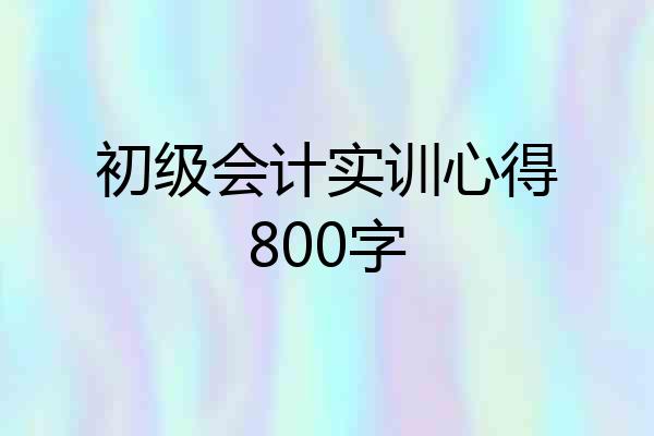 初级会计实训心得800字