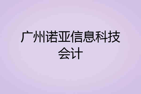 广州诺亚信息科技会计