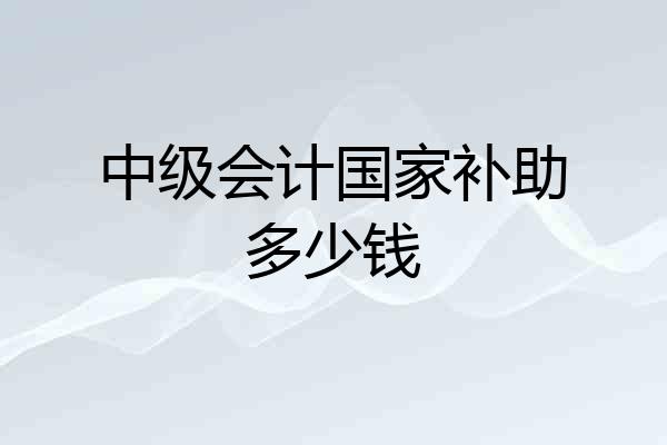 中级会计国家补助多少钱