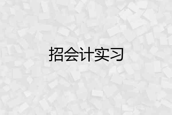 招会计实习