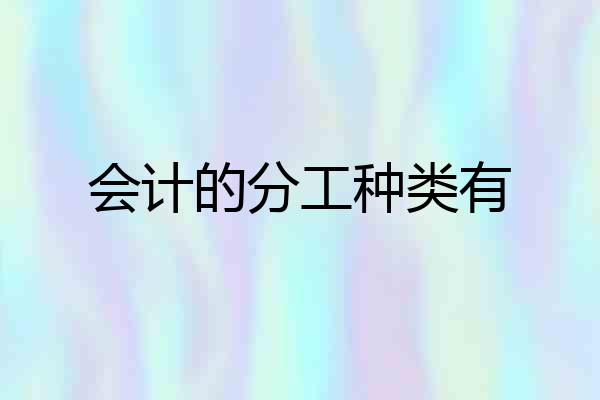会计的分工种类有