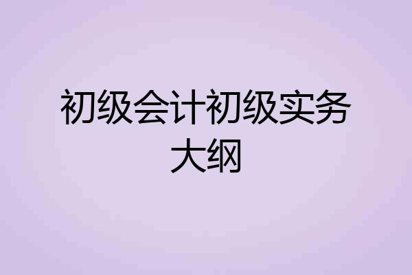 初级会计初级实务大纲
