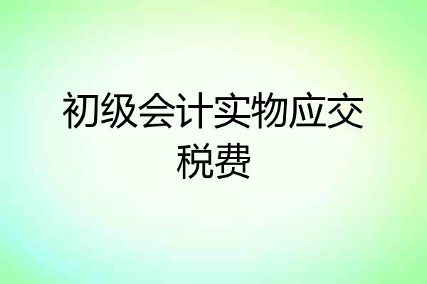 初级会计实物应交税费