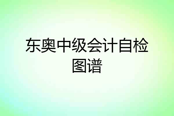 东奥中级会计自检图谱