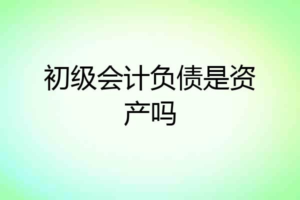 初级会计负债是资产吗