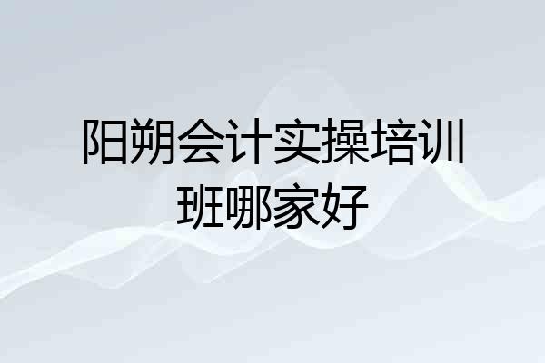 阳朔会计实操培训班哪家好