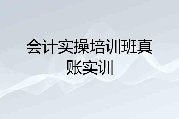 会计实操培训班真账实训