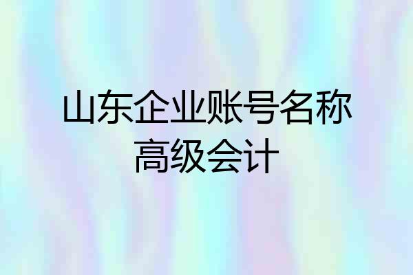 山东企业账号名称高级会计