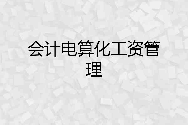 会计电算化工资管理