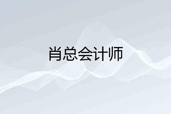 肖总会计师