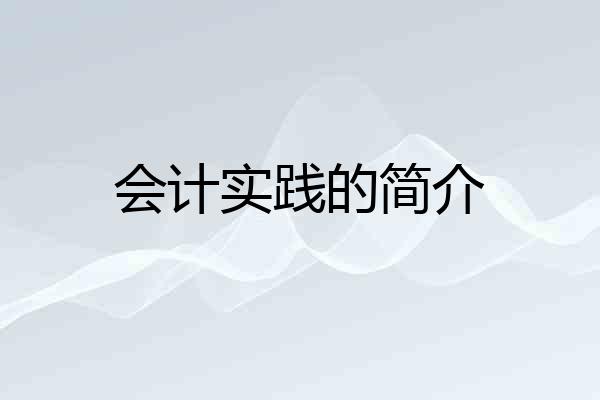 会计实践的简介