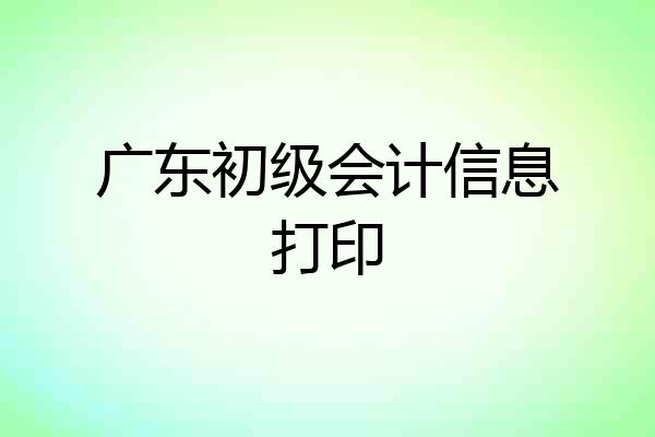 广东初级会计信息打印