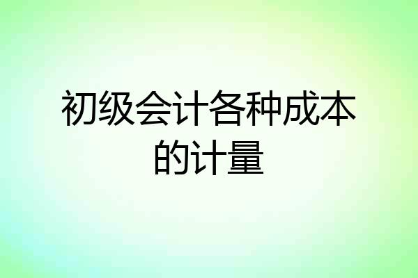 初级会计各种成本的计量