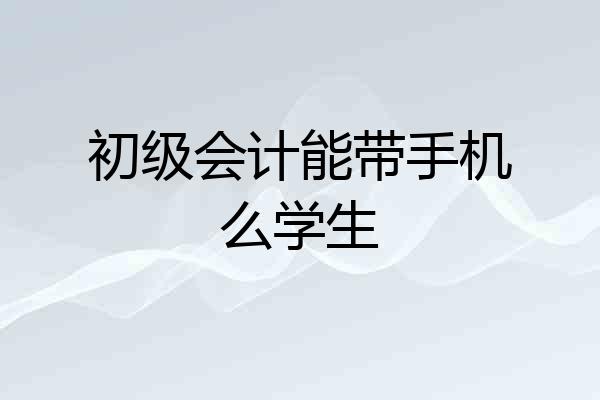 初级会计能带手机么学生