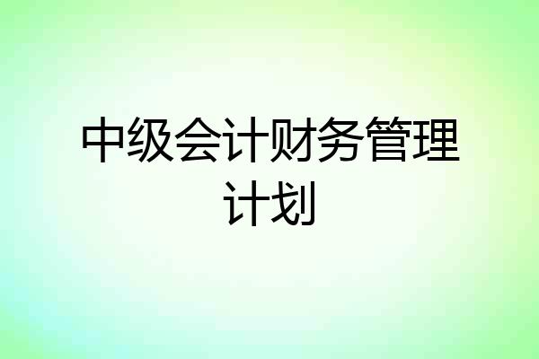 中级会计财务管理计划