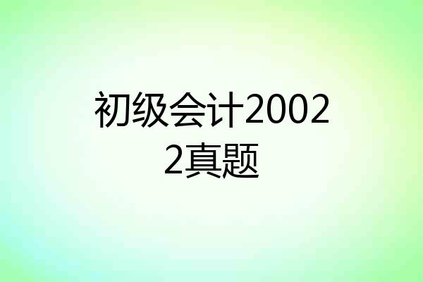 初级会计20022真题