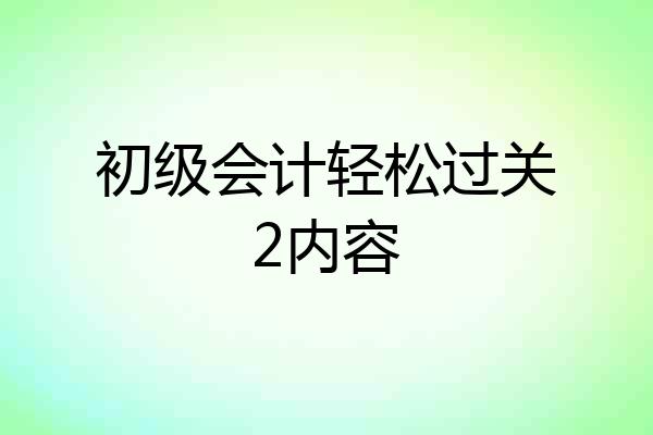 初级会计轻松过关2内容