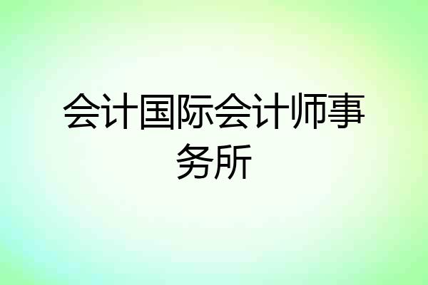 会计国际会计师事务所