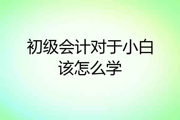 初级会计对于小白该怎么学