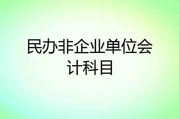 民办非企业单位会计科目