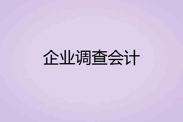 企业调查会计