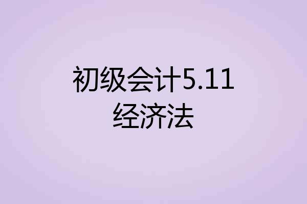 初级会计5.11经济法