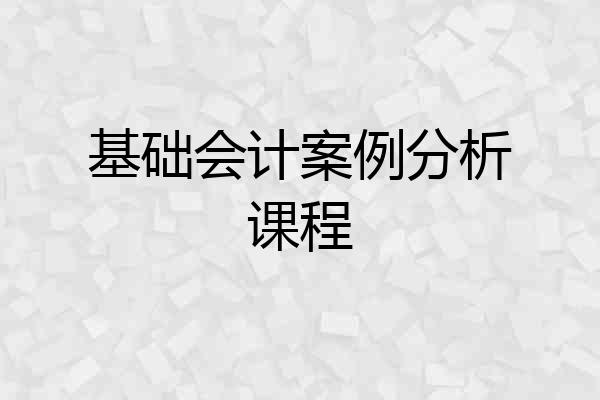 基础会计案例分析课程