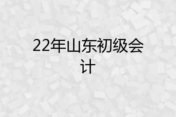 22年山东初级会计