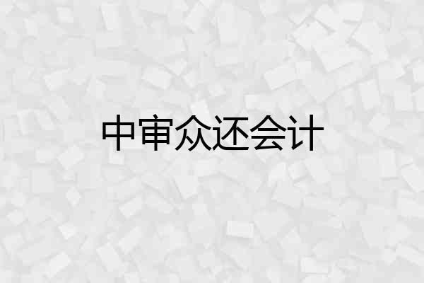 中审众还会计
