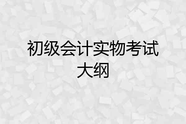 初级会计实物考试大纲
