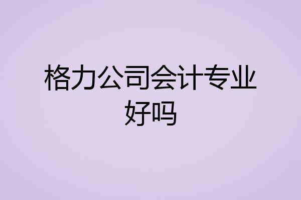 格力公司会计专业好吗