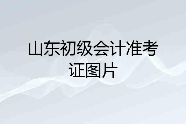 山东初级会计准考证图片