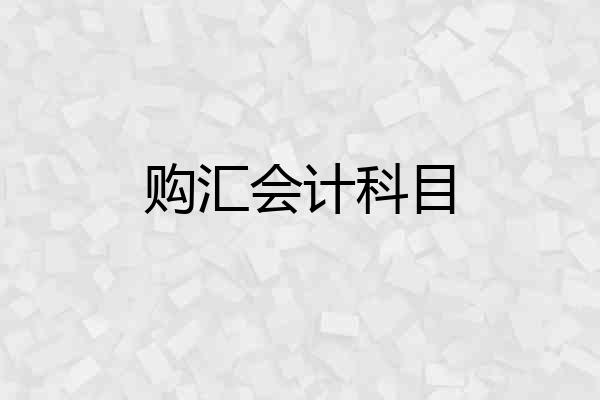 购汇会计科目