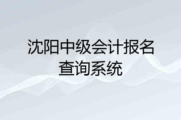 沈阳中级会计报名查询系统