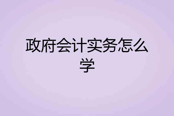 政府会计实务怎么学