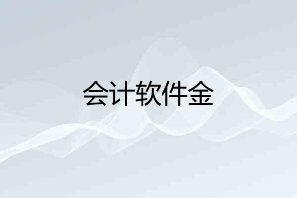 会计软件金