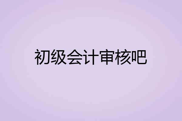 初级会计审核吧