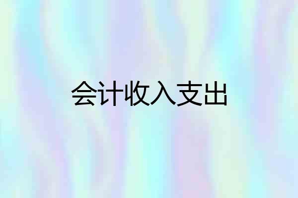会计收入支出