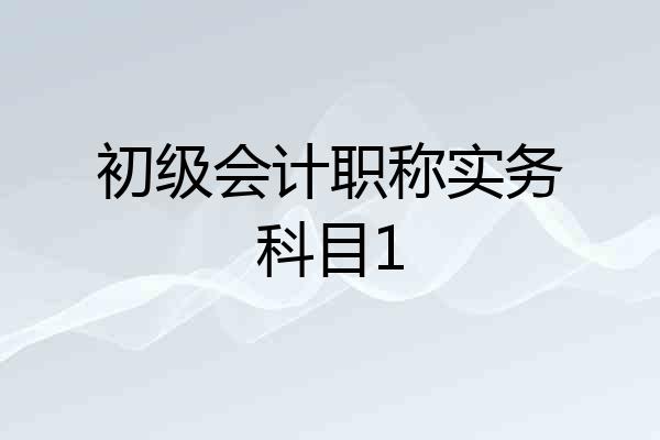 初级会计职称实务科目1