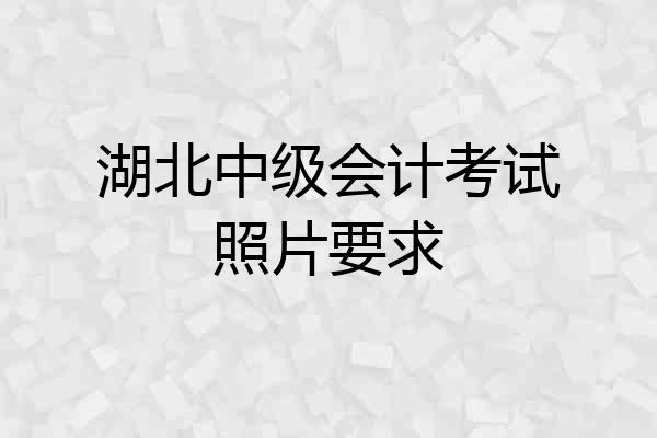 湖北中级会计考试照片要求