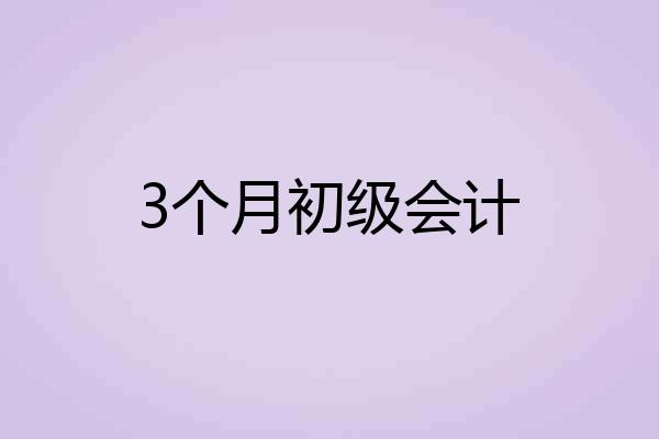 3个月初级会计