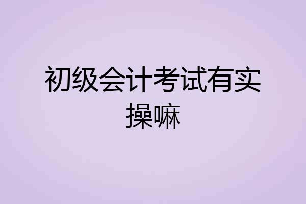 初级会计考试有实操嘛