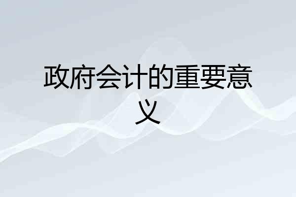 政府会计的重要意义