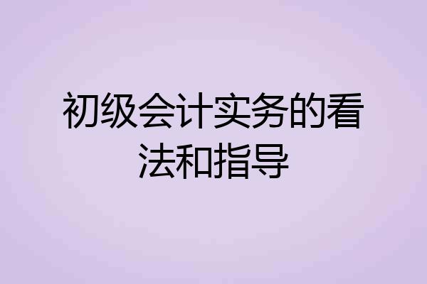 初级会计实务的看法和指导