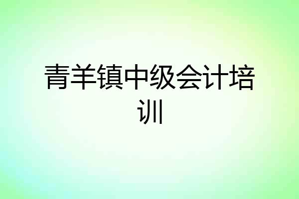 青羊镇中级会计培训