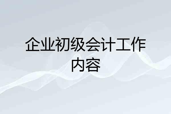 企业初级会计工作内容