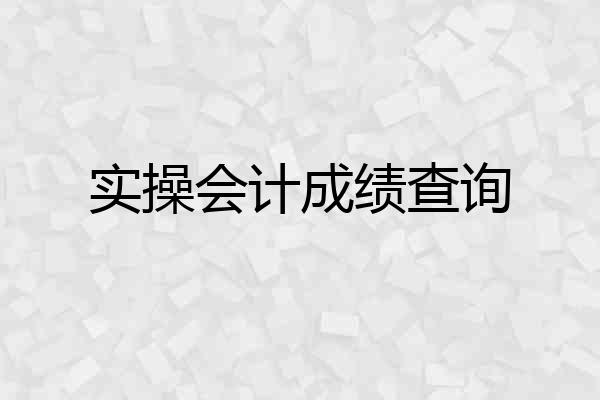 实操会计成绩查询