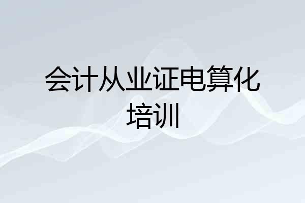 会计从业证电算化培训