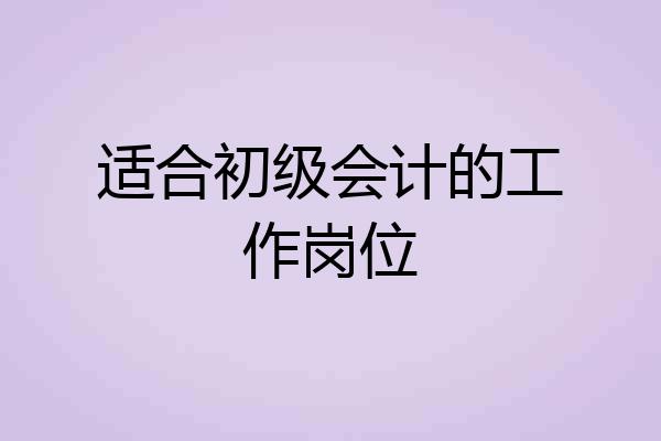 适合初级会计的工作岗位